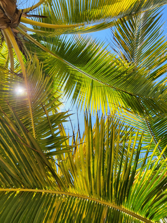 Soft Sounds For The Spring