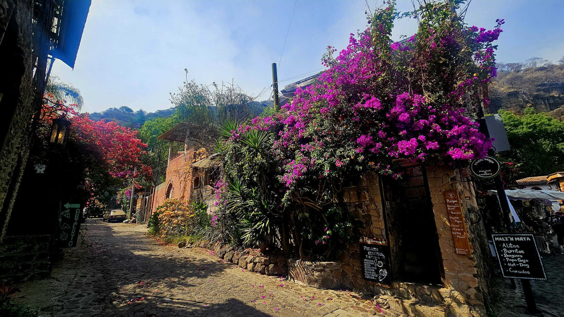 A Simple Escape: My Favorite Pueblos Mágicos Near Mexico City - vuabeauty